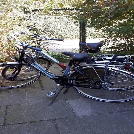 Near & Sauna Ferienhaus Noordwijk