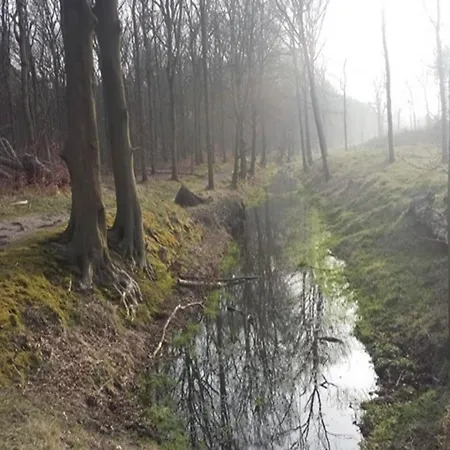 Prázdninový dům Near & Sauna *