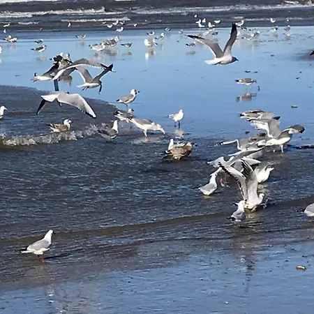 펜션 Near & Sauna 노르트베이크