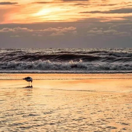Near & Sauna Ferienhaus Noordwijk