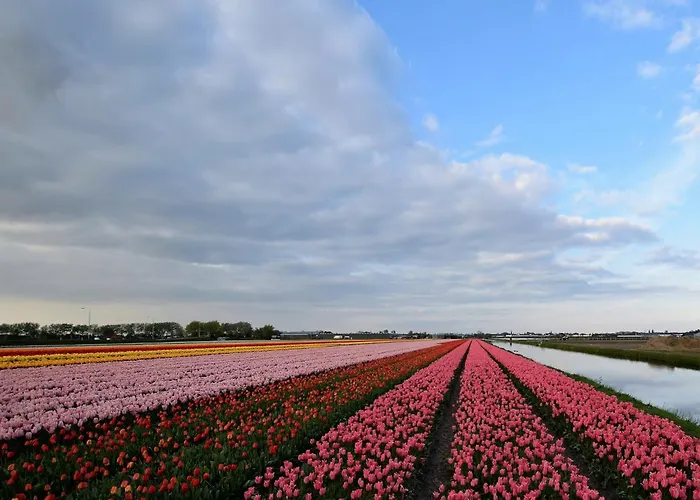 Tatil Evi Near & Sauna