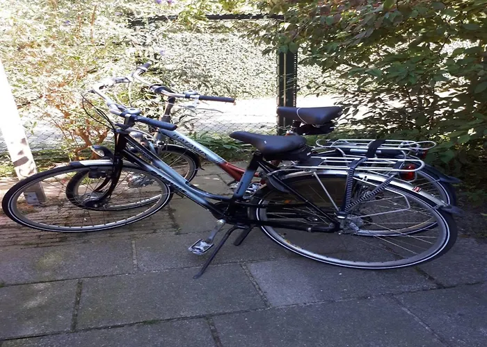 Near & Sauna Tatil Evi Noordwijk