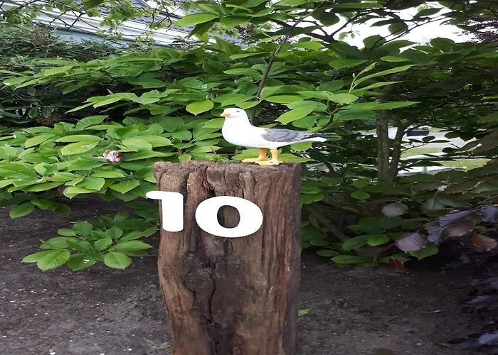 Near & Sauna * Noordwijk