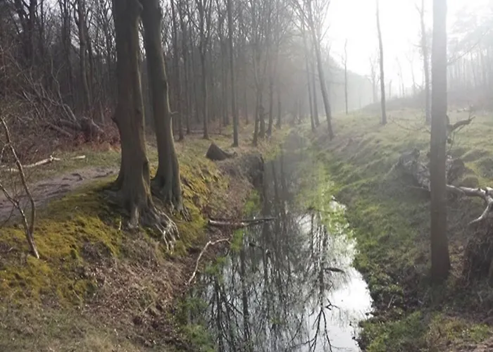 펜션 Near & Sauna *