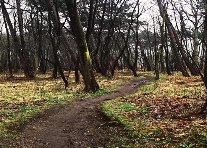 Near & Sauna Tatil Evi Noordwijk