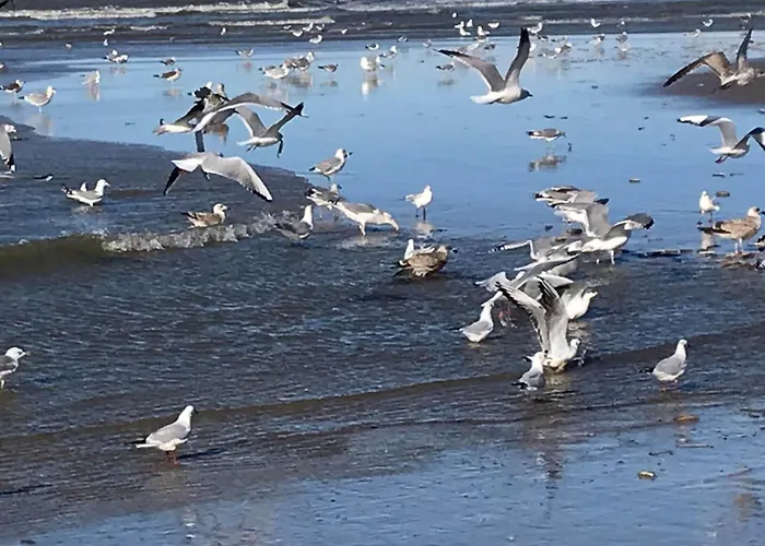 펜션 Near & Sauna 노르트베이크