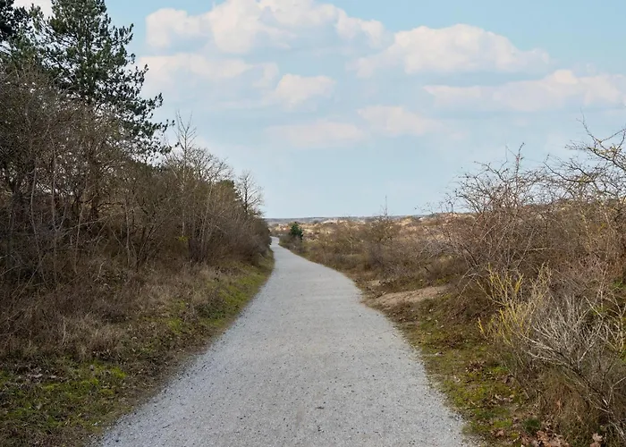 Near & Sauna Feriehus