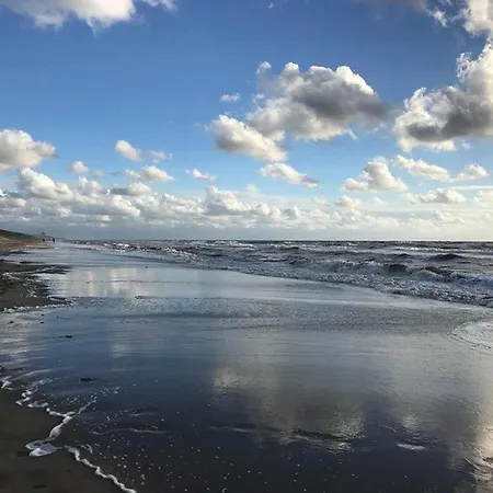 Near & Sauna *