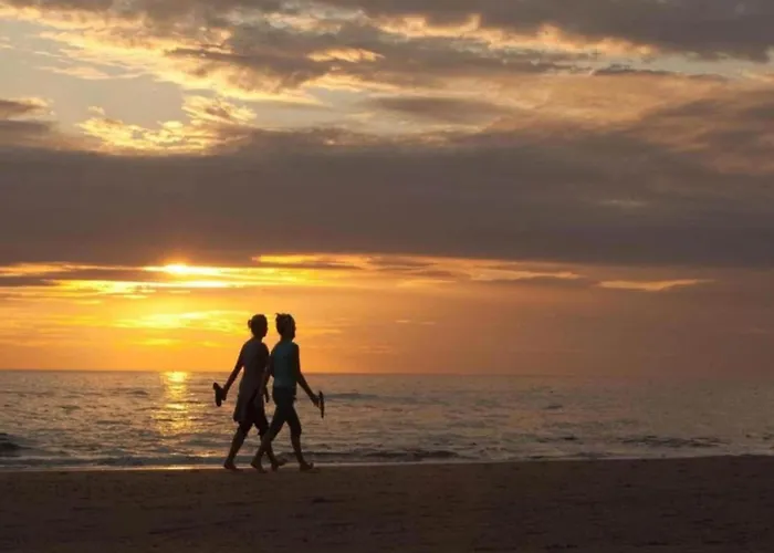 Near & Sauna Tatil Evi Noordwijk