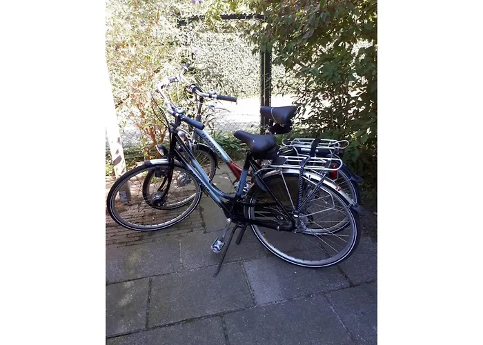 Near & Sauna Noordwijk